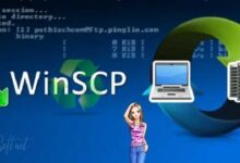 WinSCP Free Download 2024 for Windows 10, Mac and Linux