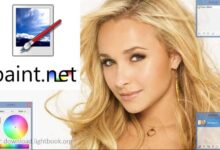 Paint.NET Free Download 2024 More Rich for Windows and Mac