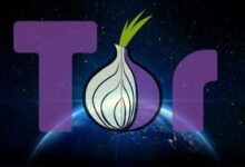 Tor Browser Download Free 2024 for Windows, Mac and Linux