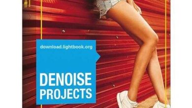 DENOISE Projects Free Download 2023 for Windows 32/64-bits