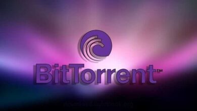 بيت تورنت BitTorrent لتنزيل الملفات من النت 2024 مجانا