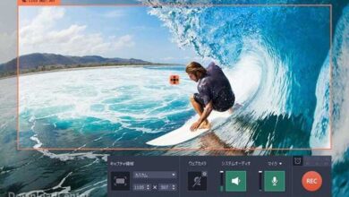 Movavi Video Suite Free Download 2023 to Design Video Clips
