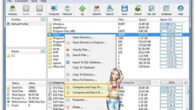 Disk Savvy Analyze Hard Disk Free Download 2023 for Windows