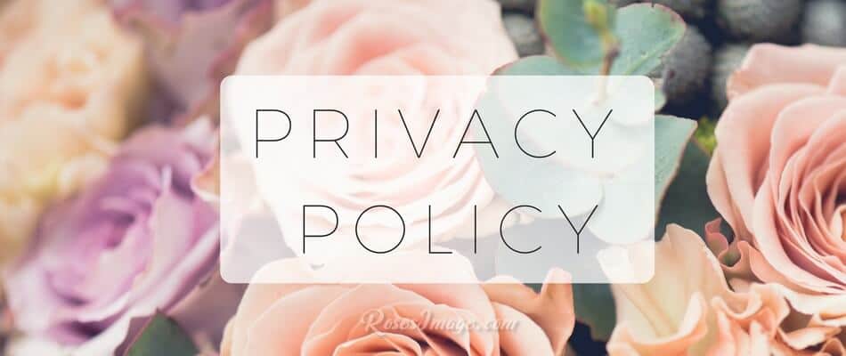 Privacy Policy