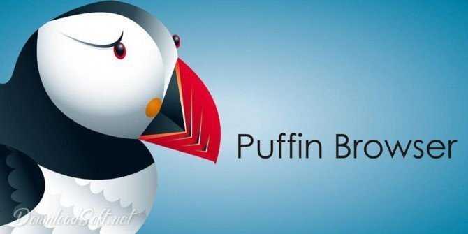 Puffin Browser Download Free 2023 the Secure Way to Surf