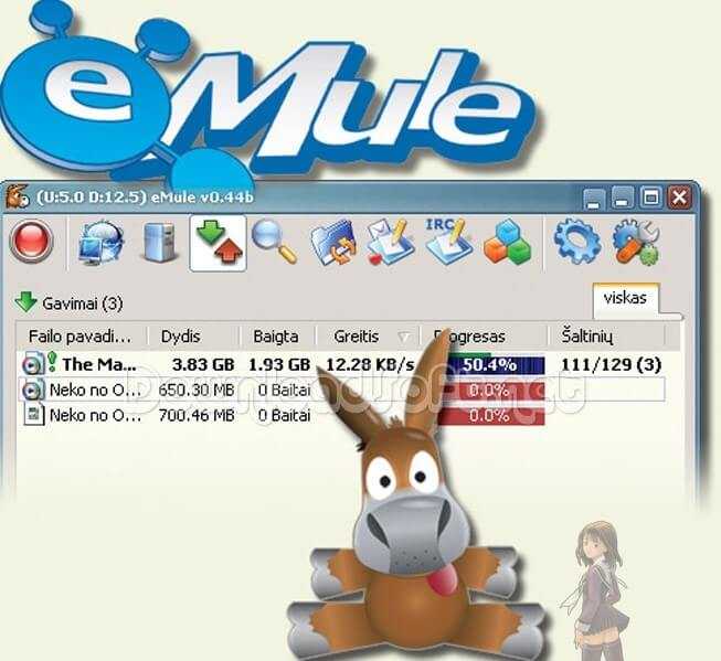 eMule Partager Fichiers et Documents