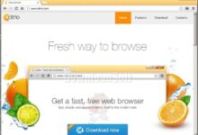 Citrio Browser Free Download 2024 for Windows and Mac