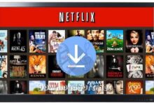 Free Netflix Downloader 2024 Direct Download for Windows