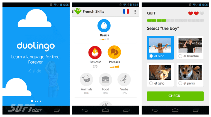 Duolingo Free Download 2024 for Windows PC and Mobile