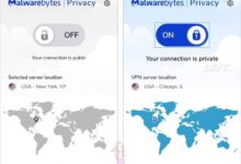 Malwarebytes Privacy VPN Free Download 2024 Protects Privacy
